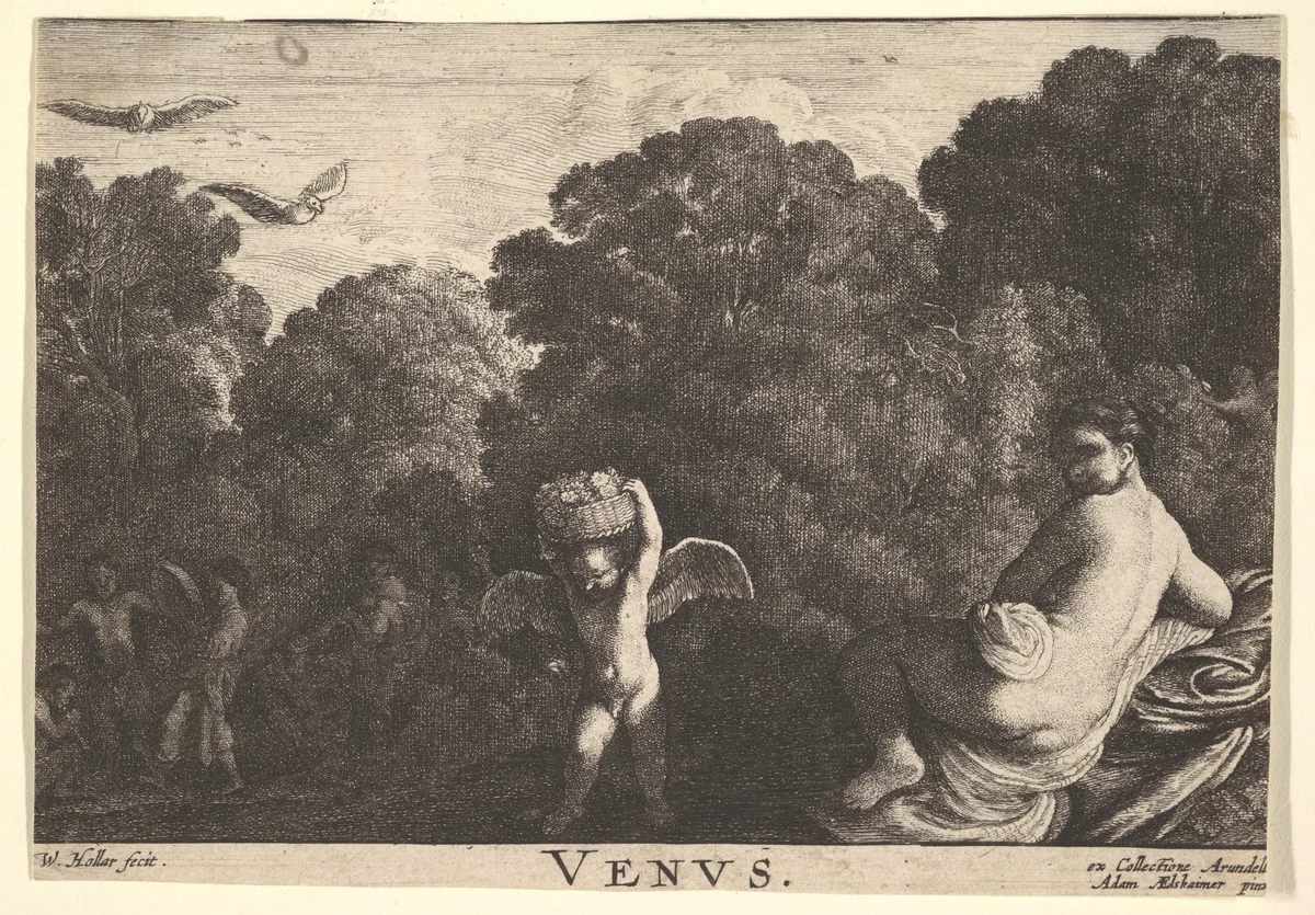 Realm of Venus by Wenceslaus Hollar, print, 1646
