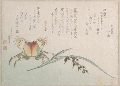 Crab and Rice Plant by Katsushika Hokusai (葛飾 北斎), print, 1800-1899