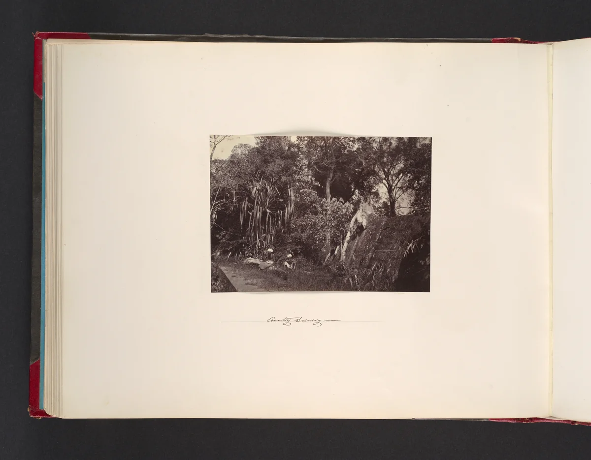 Country Scenery by John Thomson, photograph, 1865