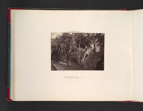 Country Scenery by John Thomson, photograph, 1865