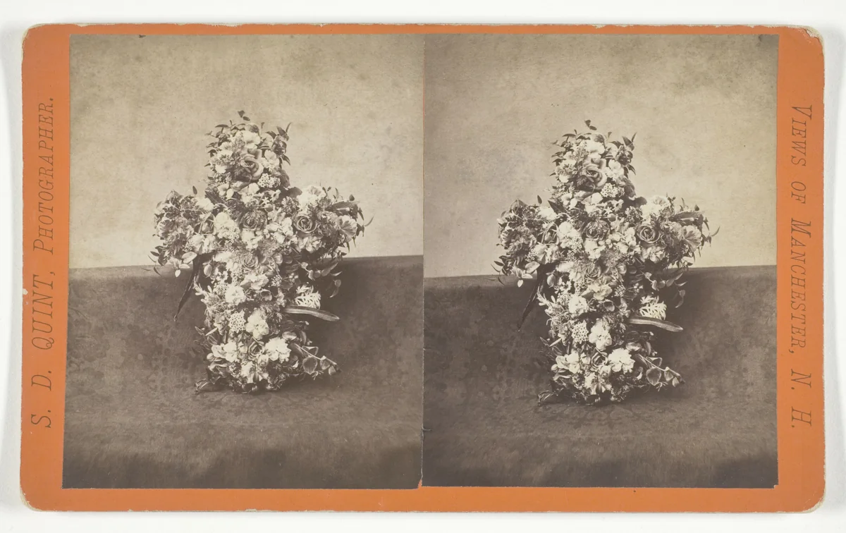 Untitled by S.D. Quint, photograph, 1850-1874