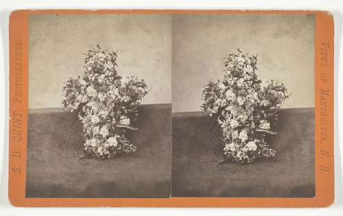 Untitled by S.D. Quint, photograph, 1850-1874