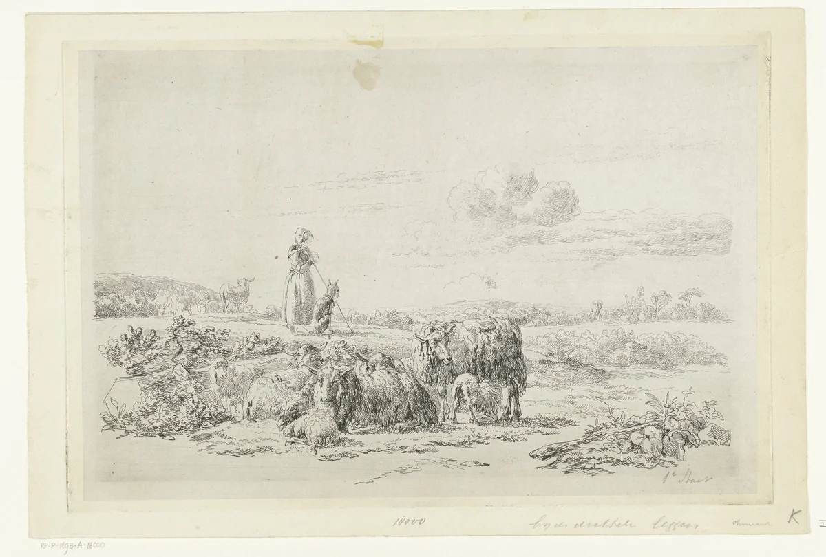 Landschap met herderin en hond bij kudde schapen by Simon van den Berg, print, 1822-1893