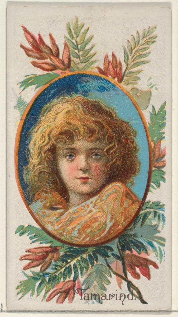 Tamarind, from the Fruits series (N12) for Allen & Ginter Cigarettes Brands by Allen & Ginter, print, 1891