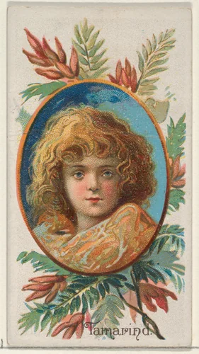 Tamarind, from the Fruits series (N12) for Allen & Ginter Cigarettes Brands by Allen & Ginter, print, 1891