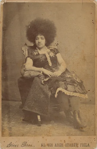 Portrait of a Woman by Andrew A. Grier, photograph, 1885-1899