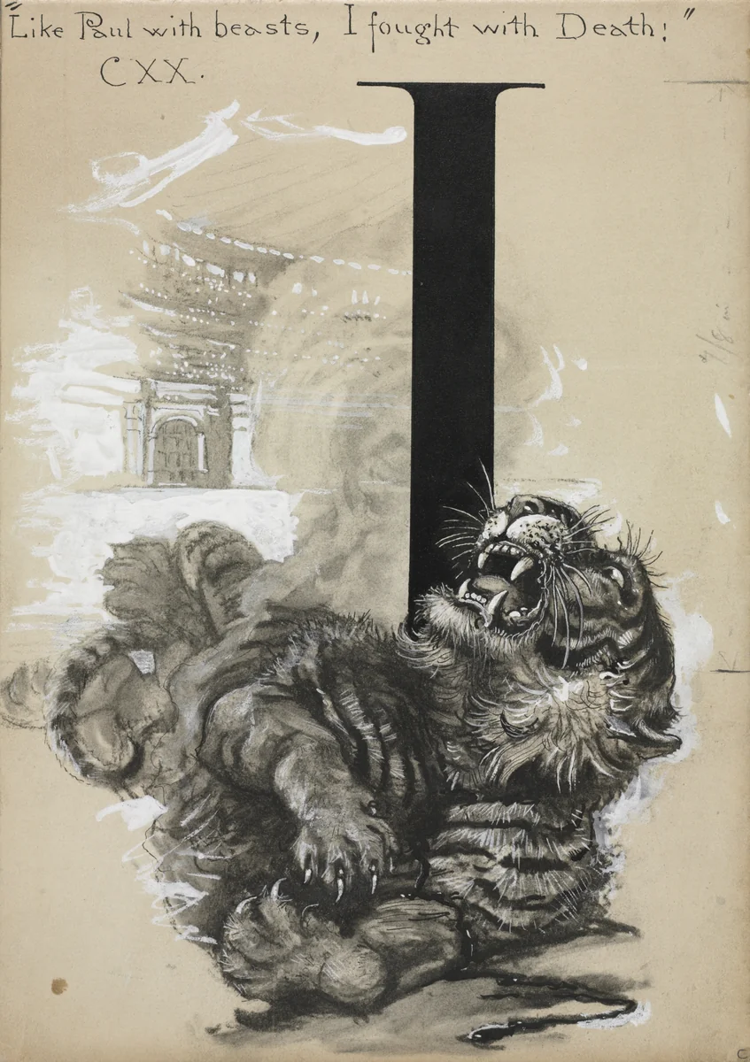 Tiger by Harry Fenn, drawing, 1892-1897