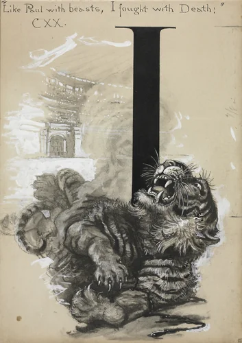 Tiger by Harry Fenn, drawing, 1892-1897