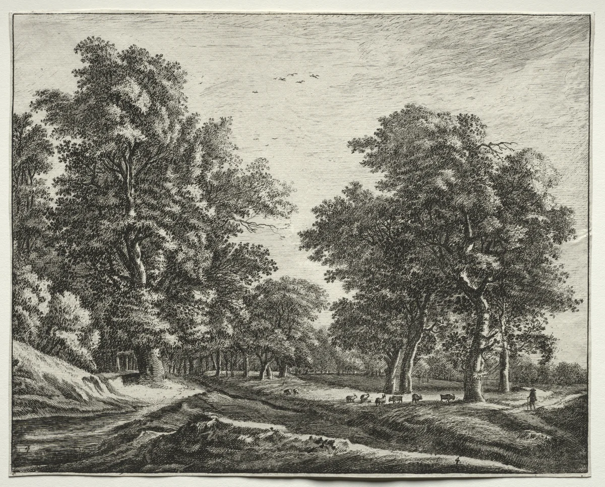 Six views in the Wood of the Hague: Plate 4, Goats Under the Trees by Roelant Roghman, print, 1640-1652