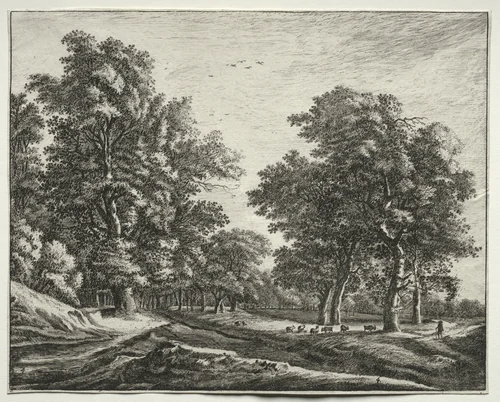 Six views in the Wood of the Hague: Plate 4, Goats Under the Trees by Roelant Roghman, print, 1640-1652