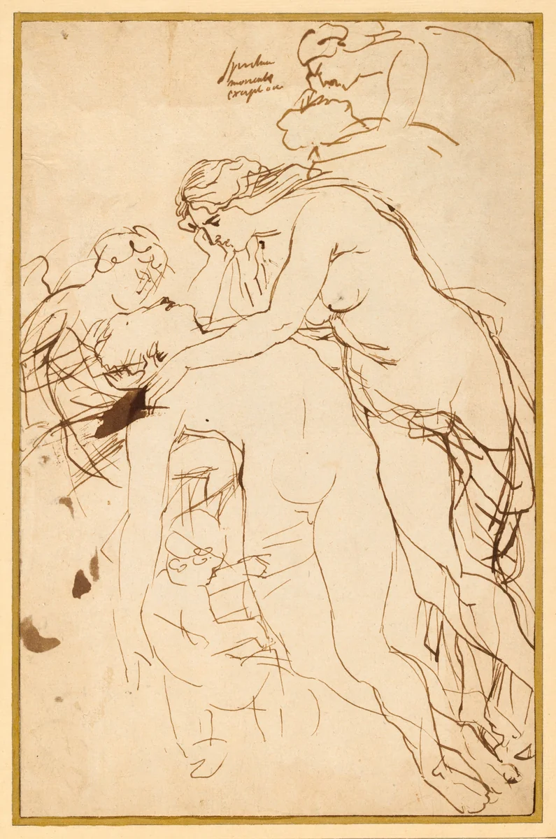Venus Lamenting Adonis by Peter Paul Rubens, drawing, 1608-1612