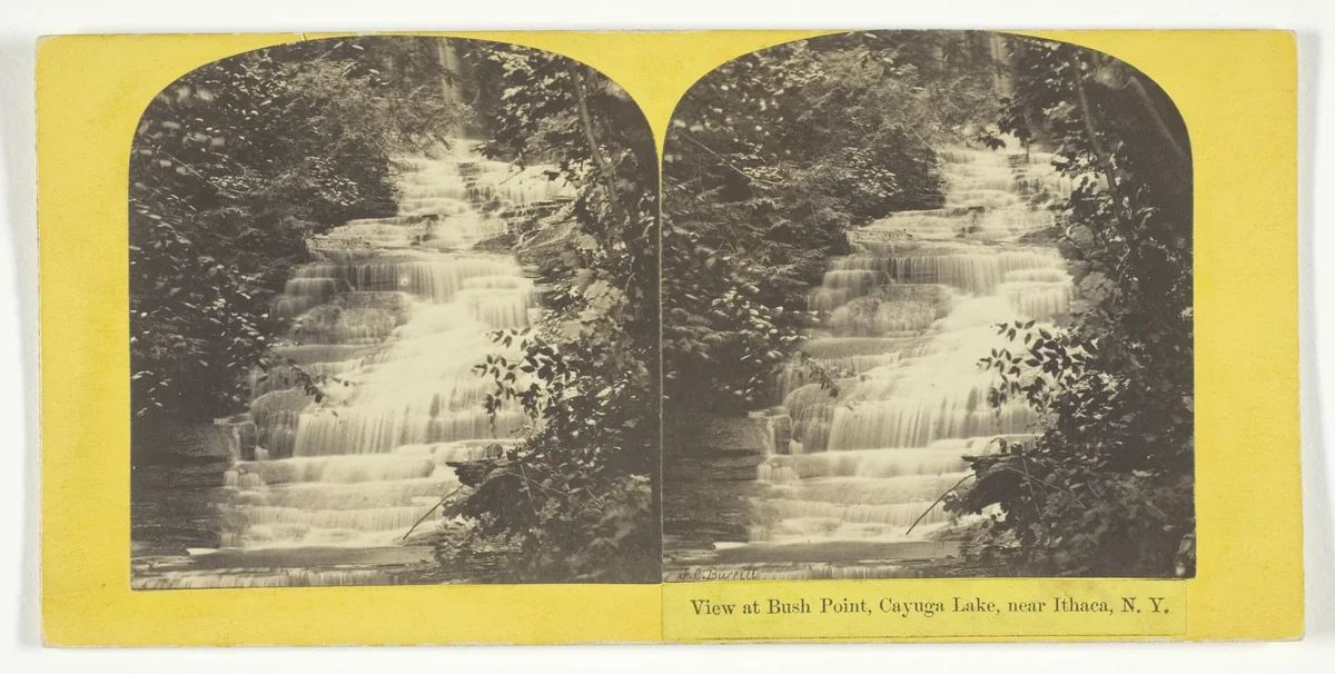 View at Bush Point, Cayuga Lake, near Ithaca, N.Y. by J. C. Burritt, photograph, 1860-1865