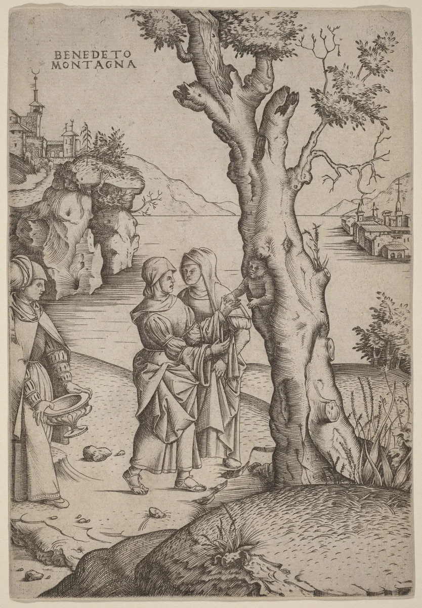 Birth of Adonis by Benedetto Montagna, print, 1515-1520