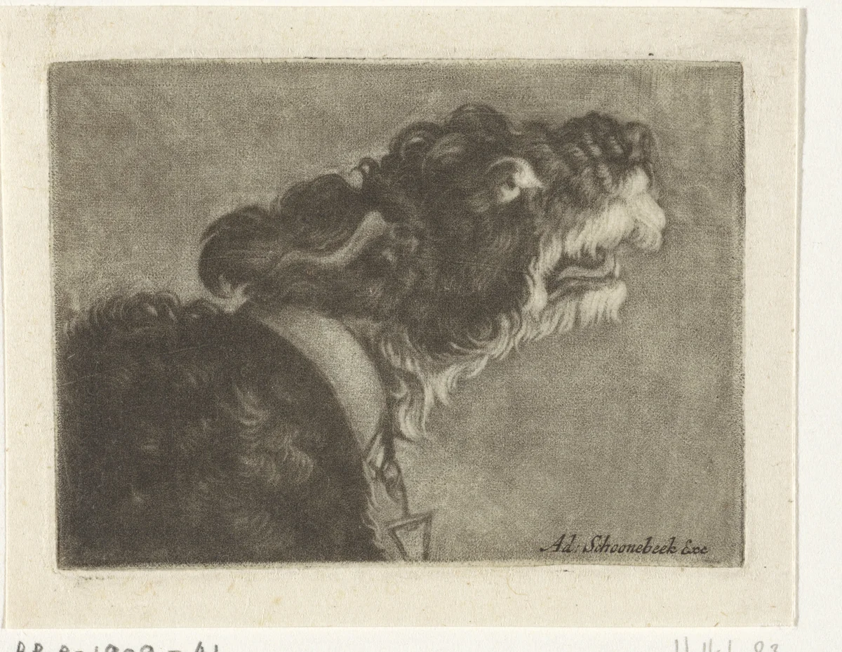 Kop van een blaffende hond by anonymous, print, 1667-1714