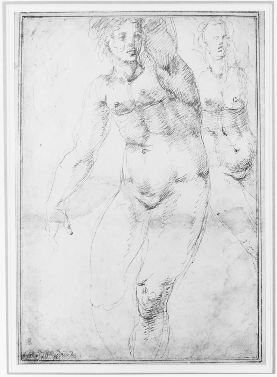 Studies for a Nude Woman Seen from the Front (recto); Four Standing Male Nudes, Venus, and Cupid (verso) by anonymous, drawing, 1500-1600