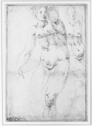 Studies for a Nude Woman Seen from the Front (recto); Four Standing Male Nudes, Venus, and Cupid (verso) by anonymous, drawing, 1500-1600