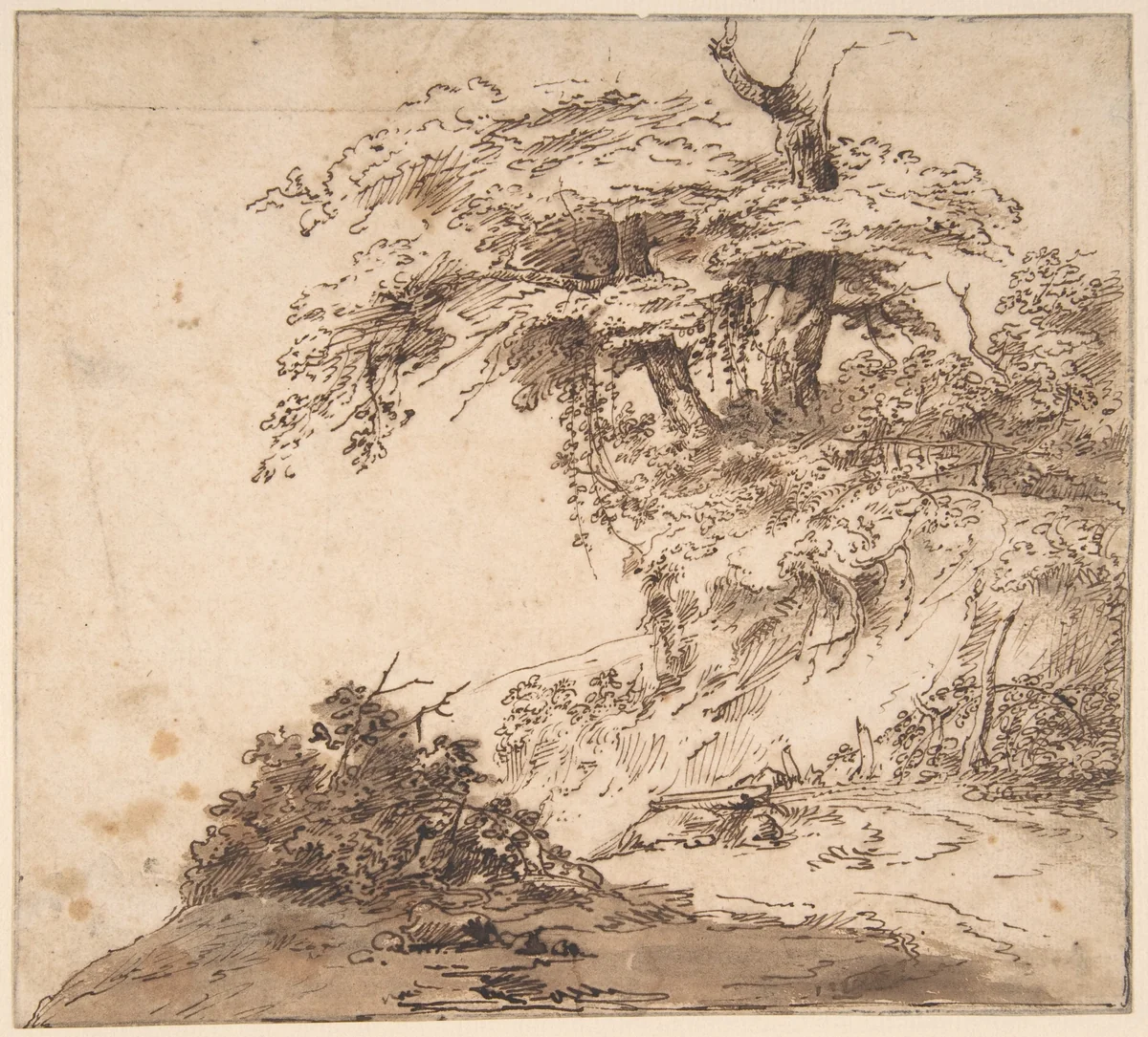 A Group a Trees by Anthony van Dyck, drawing, 1610-1641