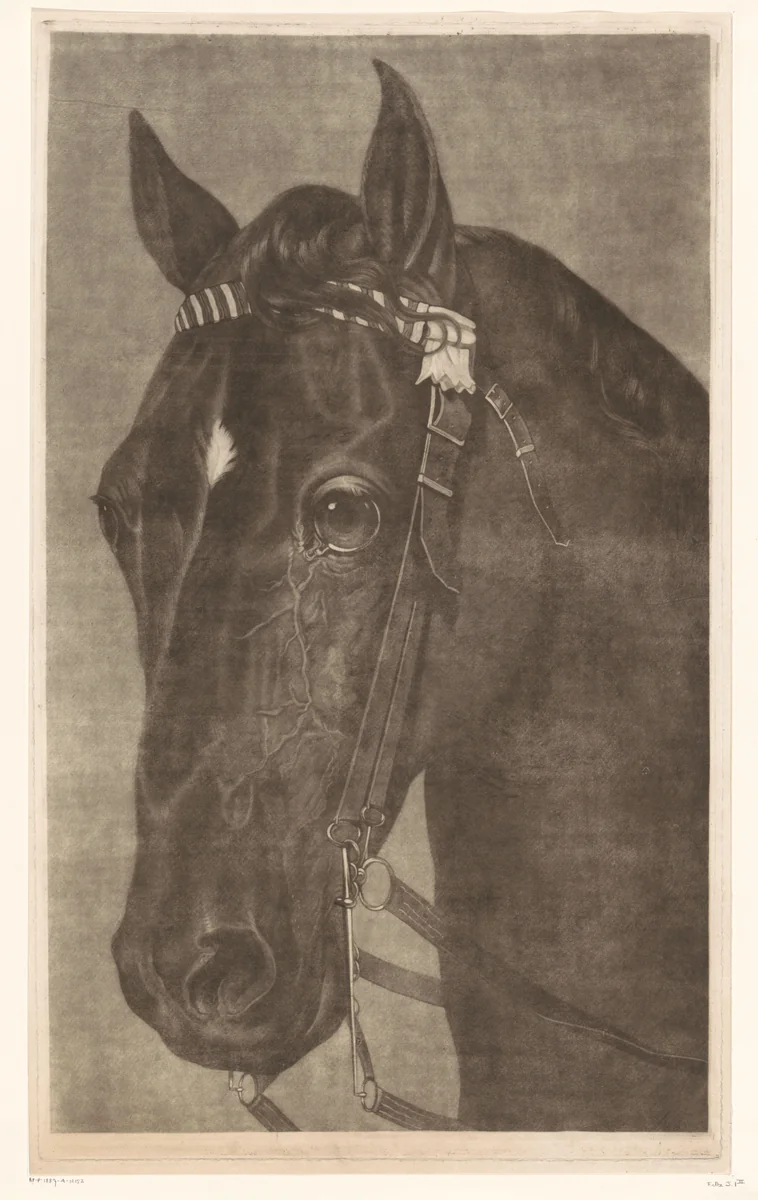 Kop van een paard met een hoofdstel by James Newman Hodges, print, 1796-1821