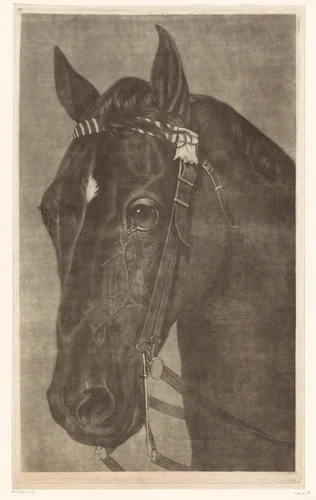 Kop van een paard met een hoofdstel by James Newman Hodges, print, 1796-1821