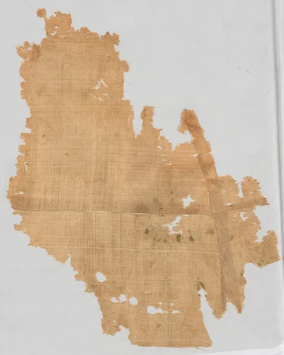 Fragment from a Garment (smaller fragment, lining) by Unknown, textile, 900-999