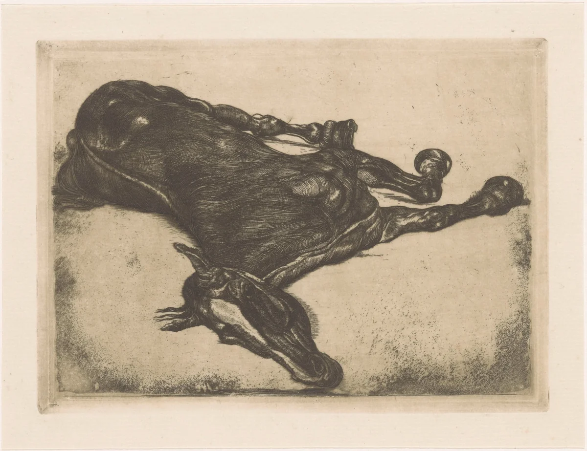 Dood paard by Pieter Dupont, print, 1900