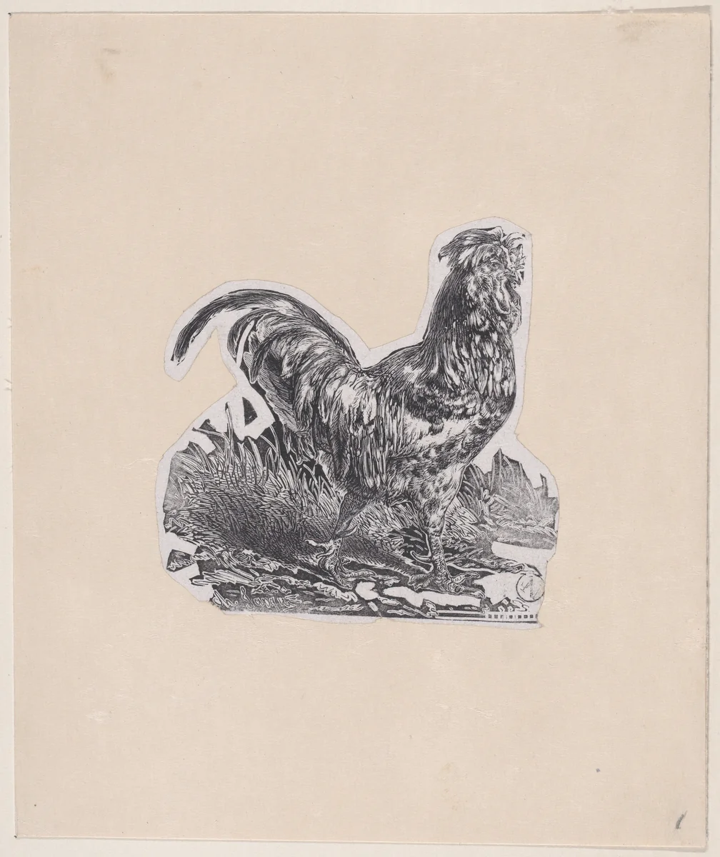 The Rooster by Charles Jacque, print, 1848-1858