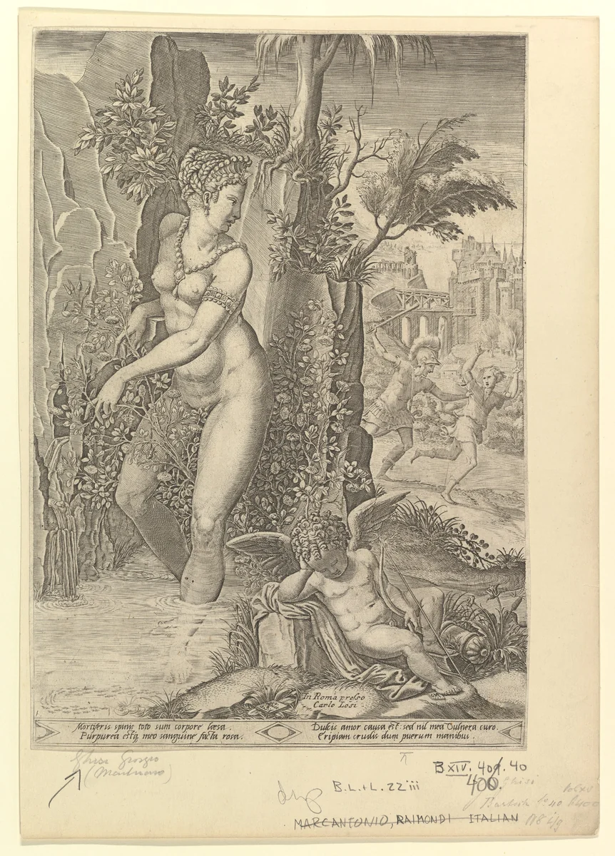 Venus Pricked by the Thorns of a Rose Bush; Cupid Asleep in the Foreground by Giorgio Ghisi, print, 1556
