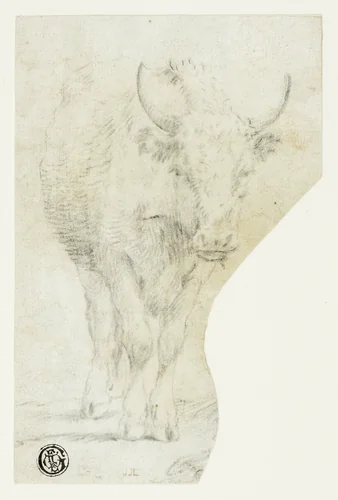 Cow by Philipp Peter Roos, drawing, 1675-1706