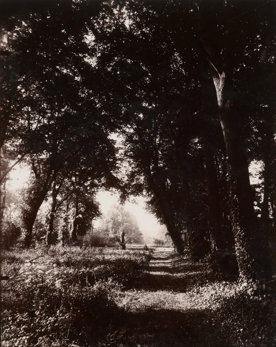 Parc de Sceaux by Eugène Atget, photograph, 1925