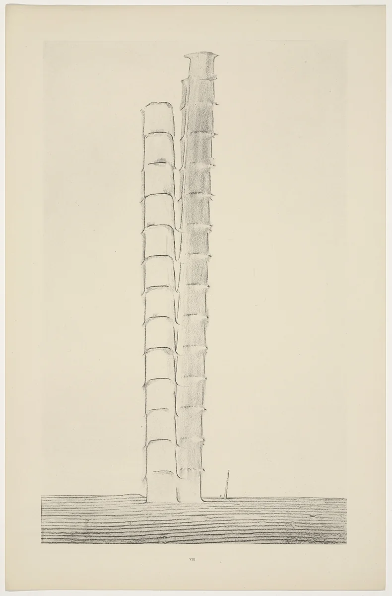 False Positions (Les Fausses positions) from Natural History (Histoire naturelle) by Max Ernst, print, 1925