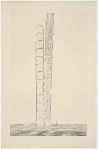 False Positions (Les Fausses positions) from Natural History (Histoire naturelle) by Max Ernst, print, 1925