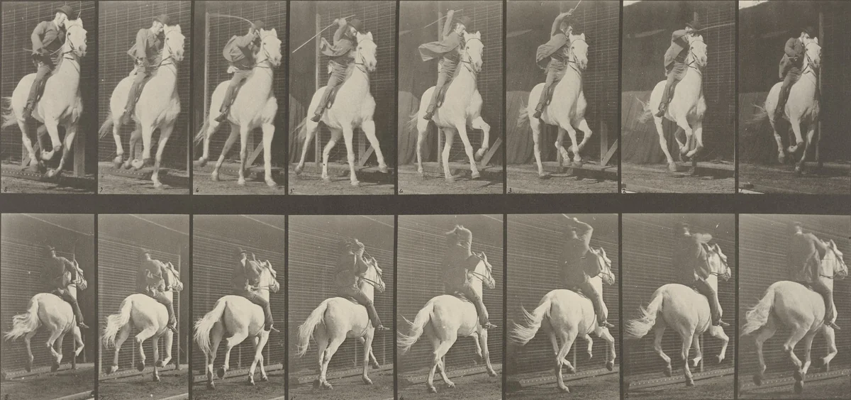 "Dan" Galloping, Saddled: Plate 634 from Animal Locomotion (1887) by Eadweard Muybridge, photograph, 1884