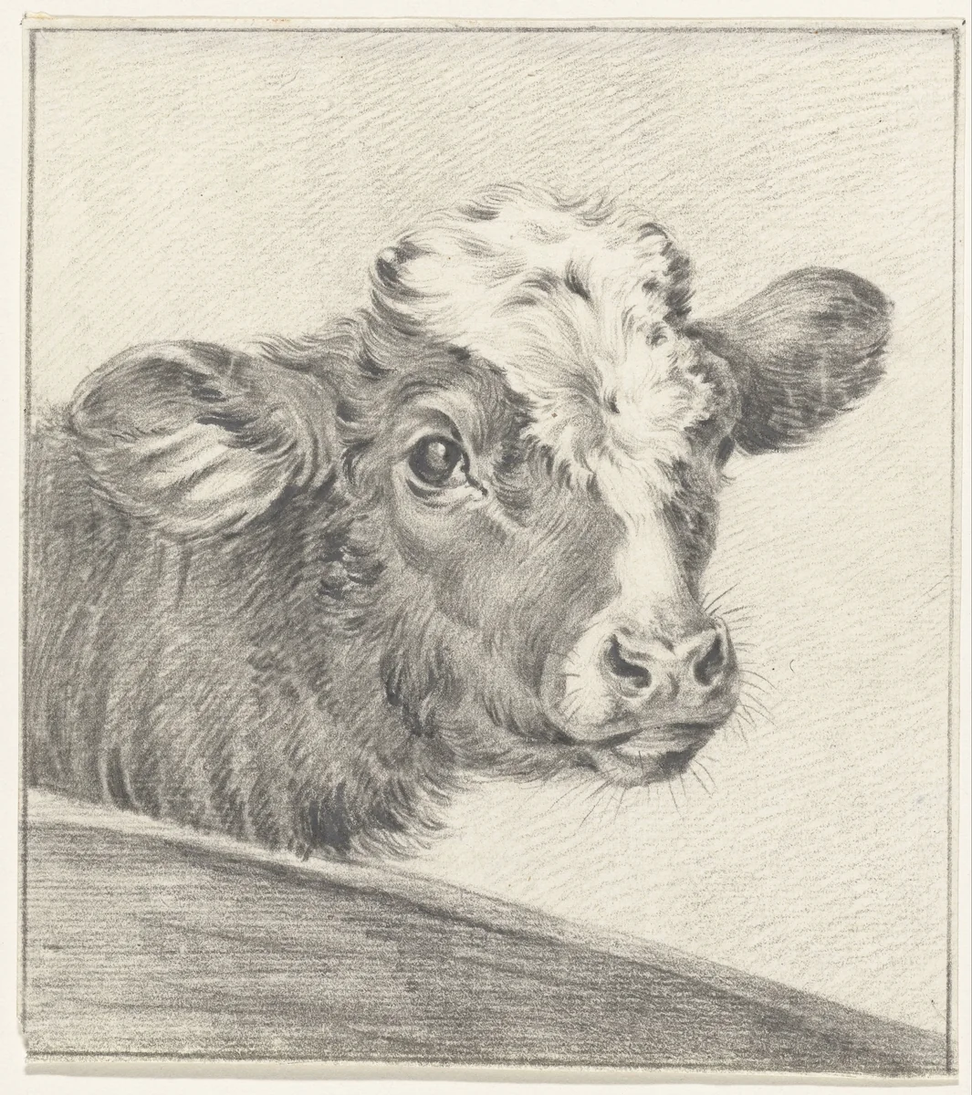 Kop van een koe by Jean Bernard, drawing, 1775-1833