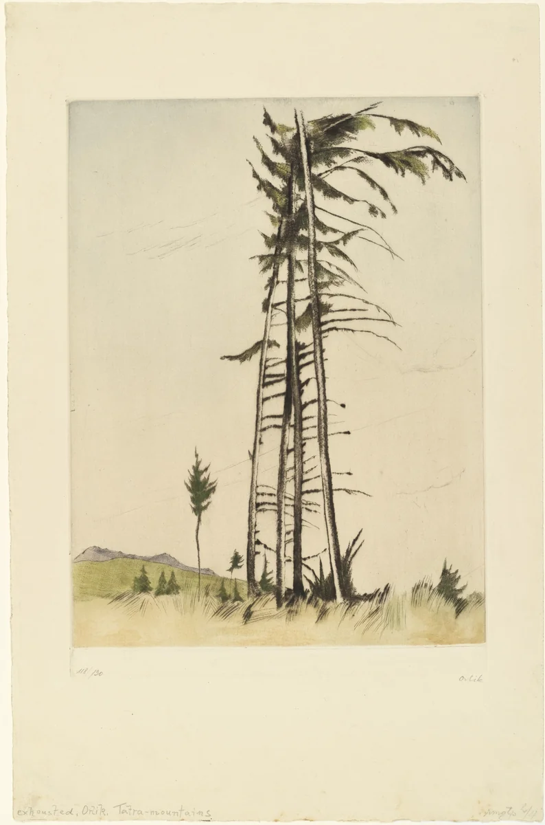 Tatra Mountains (Tatry) by Emil Orlik, print, 1898