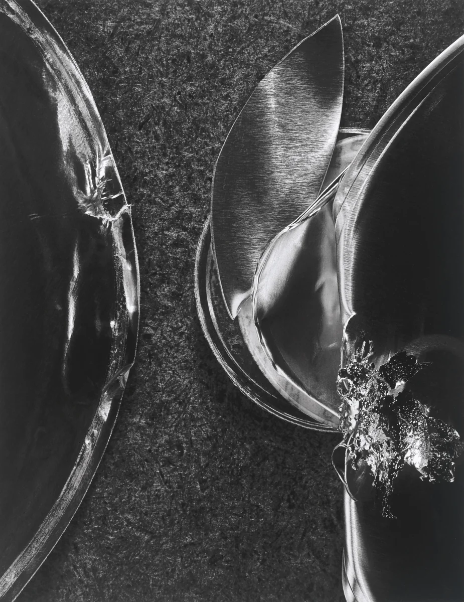 Solitudes 78 by Carl Chiarenza, photograph, 2004