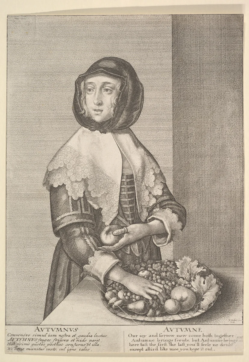 Autumnus - Autumn by Wenceslaus Hollar, print, 1641