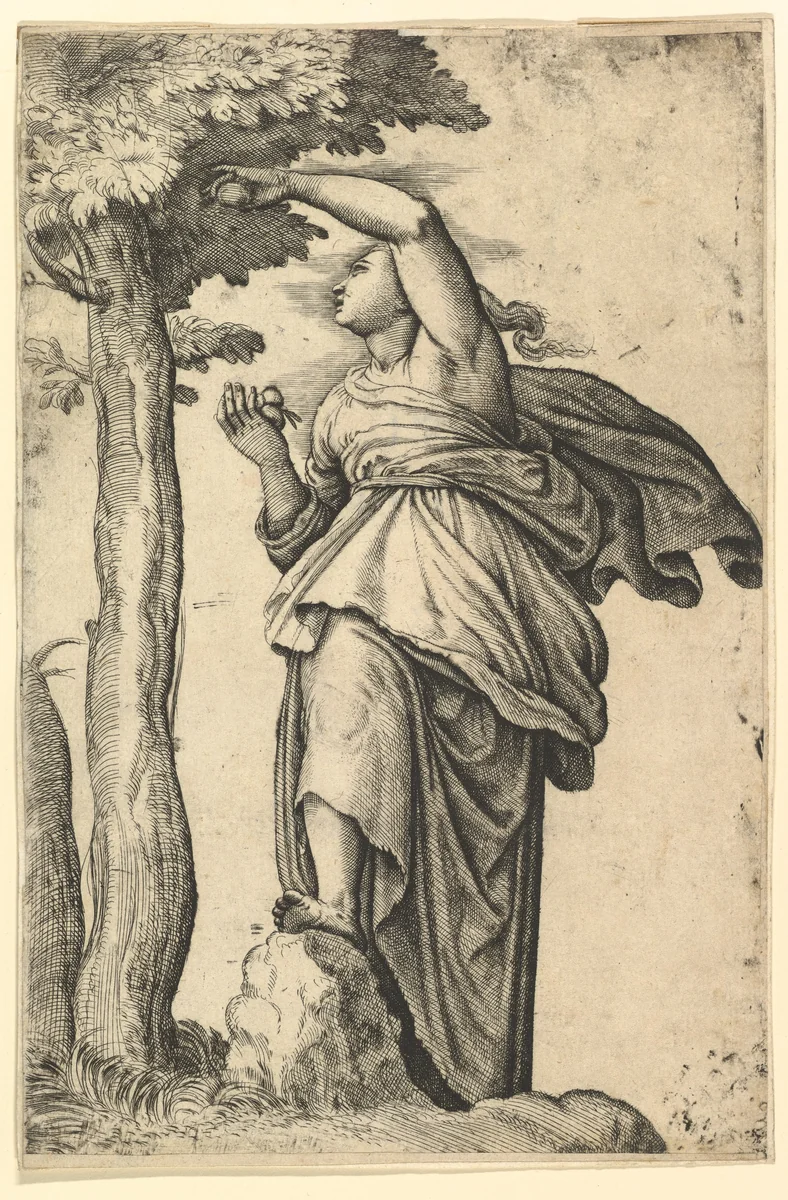 Woman in Roman Costume Picking Fruit from a Tree by Battista Franco, print, 1555-1565