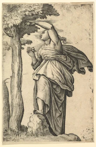 Woman in Roman Costume Picking Fruit from a Tree by Battista Franco, print, 1555-1565