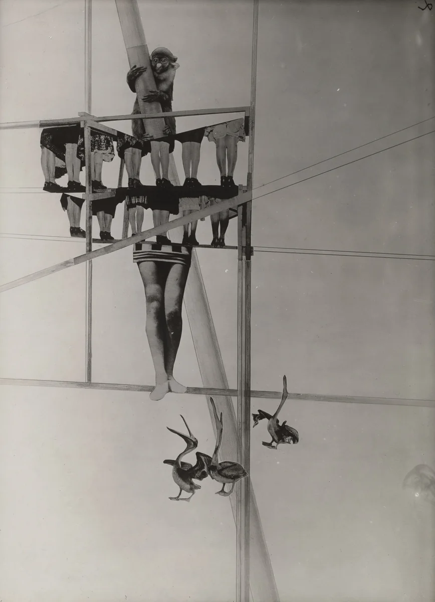 Structure of the World by László Moholy-Nagy, photograph, 1925