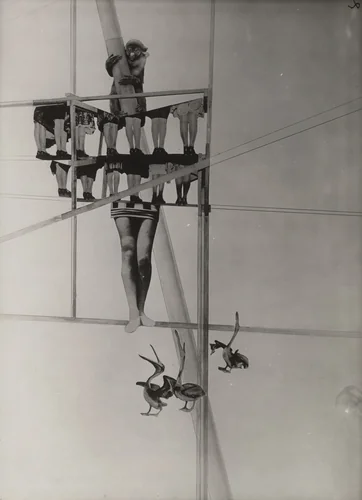 Structure of the World by László Moholy-Nagy, photograph, 1925