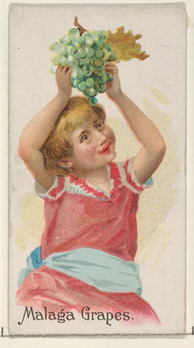Malaga Grapes, from the Fruits series (N12) for Allen & Ginter Cigarettes Brands by Allen & Ginter, print, 1891