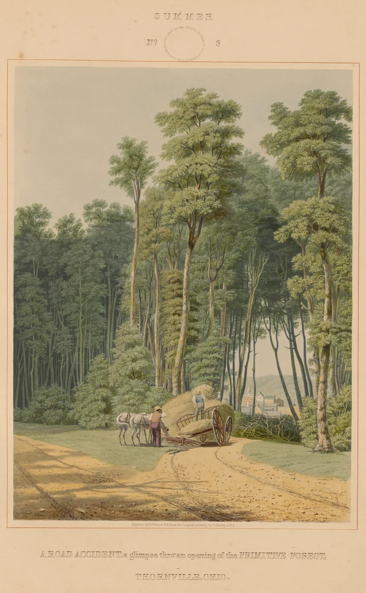 Summer--A Road Accident. A glimpse thro' an opening of the Primitive Forest. Thornville, Ohio by William James Bennett, print, 1841