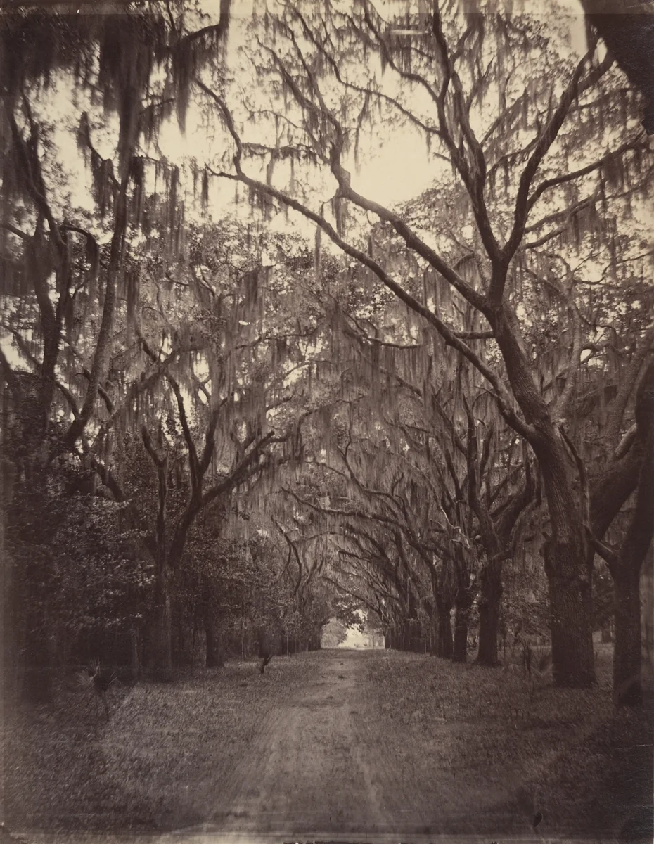 Bonaventure Cemetery, Four Miles from Savannah by George N. Barnard, photograph, 1866