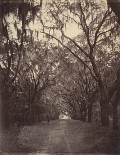 Bonaventure Cemetery, Four Miles from Savannah by George N. Barnard, photograph, 1866