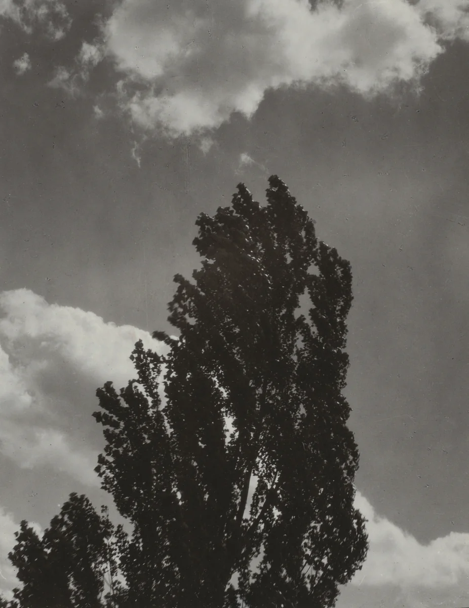 Portrait—K.N.R., No. 3 or Songs of the Sky C3 by Alfred Stieglitz, photograph, 1923