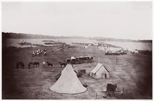 Belle Plain, Virginia by Timothy O'Sullivan, photograph, 1864