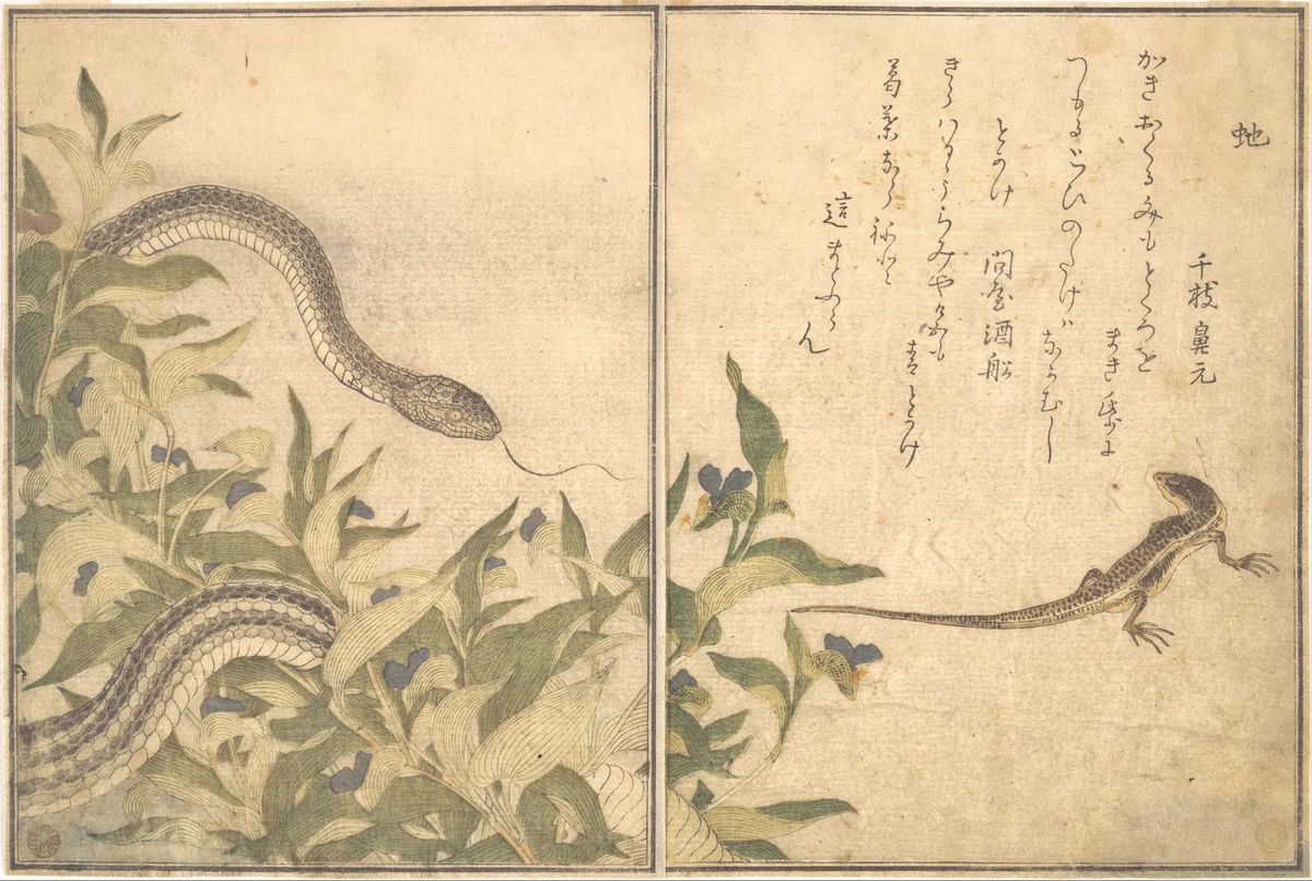 Rat Snake (Hebi); Lizard or Skink (Tokage), from the Picture Book of Crawling Creatures (Ehon mushi erami) by Kitagawa Utamaro (喜多川歌麿), print, 1788