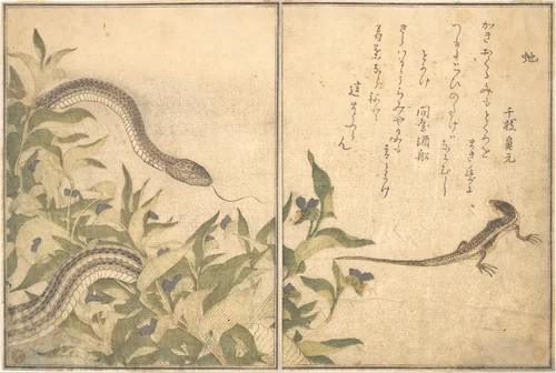 Rat Snake (Hebi); Lizard or Skink (Tokage), from the Picture Book of Crawling Creatures (Ehon mushi erami) by Kitagawa Utamaro (喜多川歌麿), print, 1788