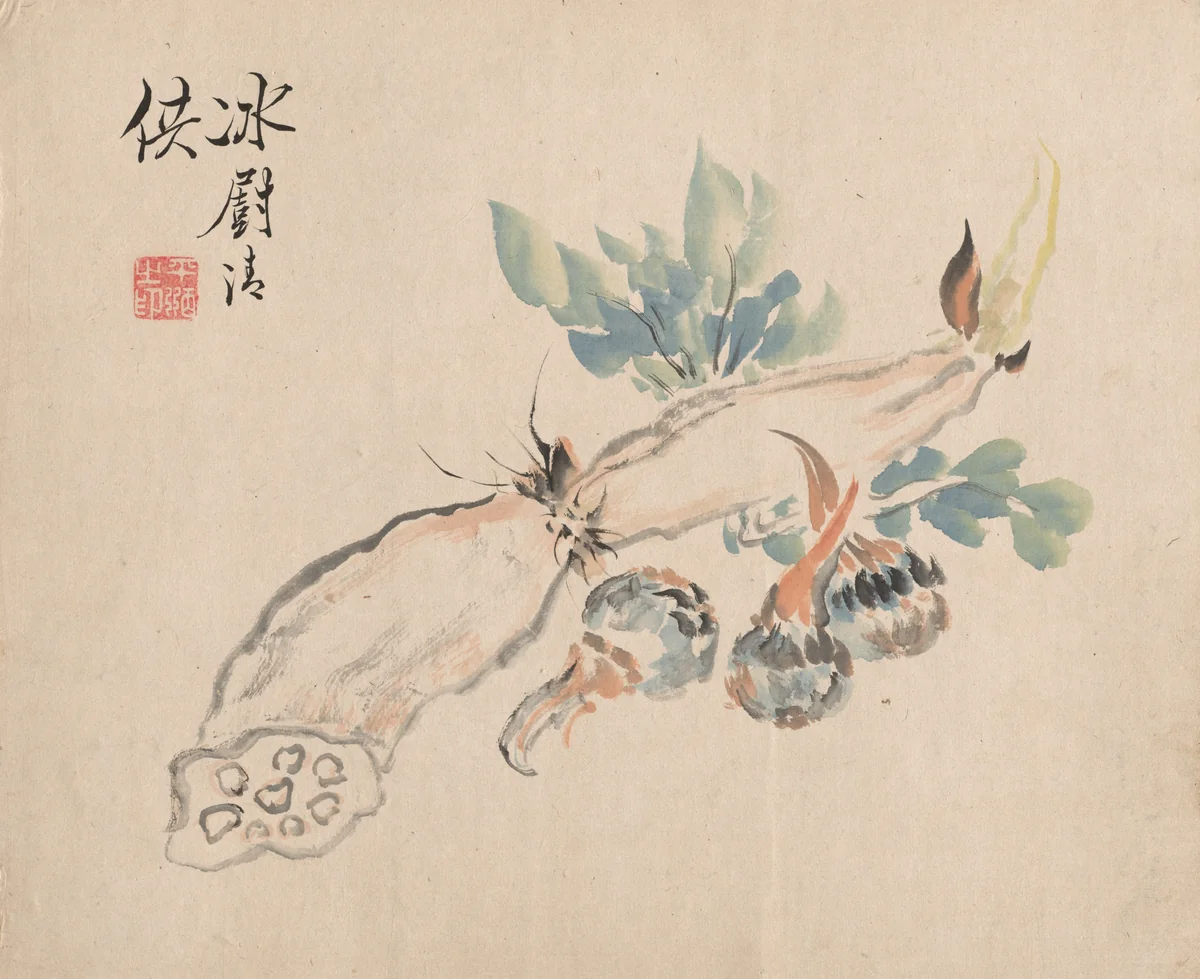 Lotus Root and Adder's Tongue by Tsubaki Chinzan (椿椿山), drawing, 1845-1854