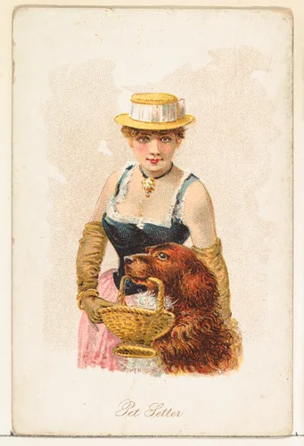 Pet Setter, from the Household Pets series (N194) issued by Wm. S. Kimball & Co. by William S. Kimball & Company, print, 1891